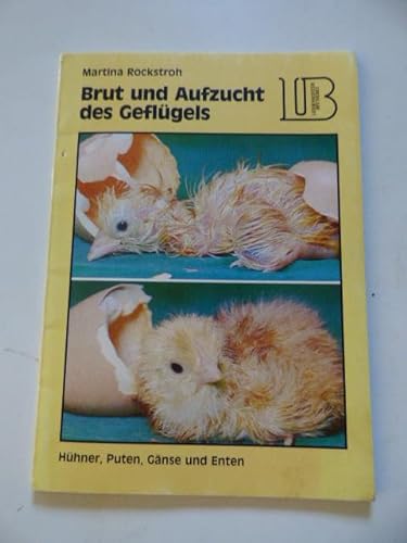 Stock image for Brut und Aufzucht des Geflgels for sale by medimops