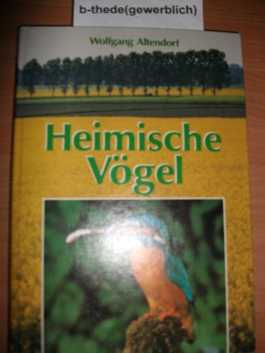 Imagen de archivo de Heimische Vgel a la venta por medimops