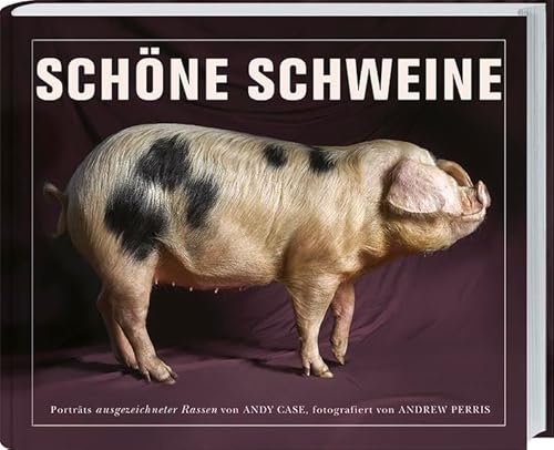 Imagen de archivo de Schne Schweine: Portrts ausgezeichneter Rassen von Andy Case, fotografiert von Andrew Perris a la venta por medimops
