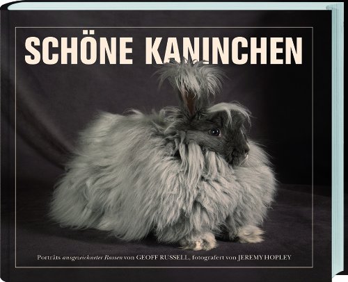 Stock image for Schne Kaninchen for sale by medimops