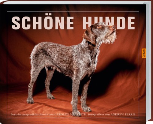 Stock image for Sch ne Hunde for sale by Books From California