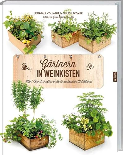 Imagen de archivo de Grtnern in Weinkisten: Mini-Landschaften in berraschenden Behltern. a la venta por medimops