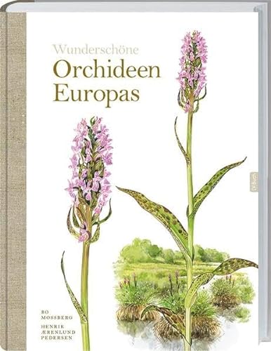 Beispielbild fr Orchideen Europas -Language: german zum Verkauf von GreatBookPrices