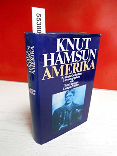 Imagen de archivo de Amerika - Kritische Schriften a la venta por 3 Mile Island