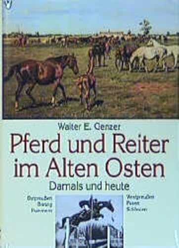 Stock image for Pferd und Reiter im Alten Osten for sale by medimops