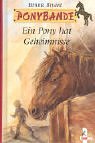 Stock image for Ponybande, Ein Pony hat Geheimnisse for sale by Books Unplugged