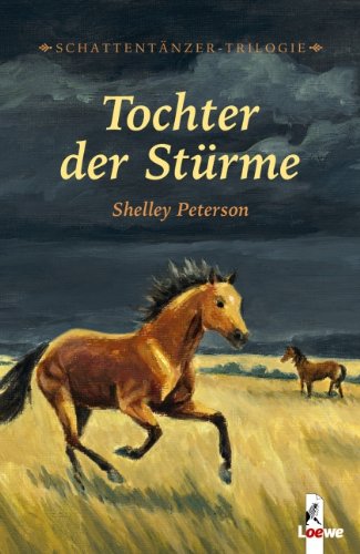 Stock image for Schattentnzer-Trilogie: Tochter der Strme: BD 2 for sale by medimops