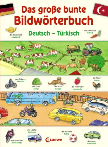 9783785565391: Das groe bunte Bildwrterbuch Deutsch - Trkisch