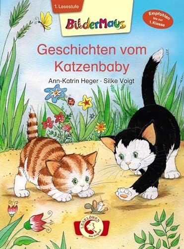 Stock image for Bildermaus - Geschichten vom Katzenbaby for sale by More Than Words