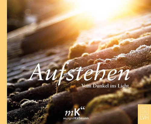 Imagen de archivo de Aufstehen: Vom Dunkel ins Licht a la venta por medimops