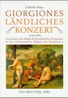 Giorgiones Ländliches Konzert. Darstellung der Musik als künstlerisches Programm in der veneziani...