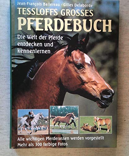 Stock image for Tessloffs grosses Pferdebuch. Alle wichtigen Pferderassen werden vorgestellt. Deutsch von Claudia Denzler. for sale by Mephisto-Antiquariat