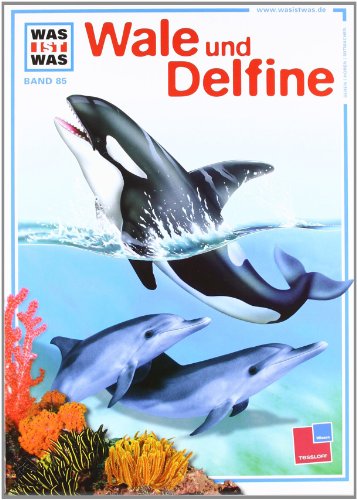 Beispielbild fr Was ist was, Band 085: Wale und Delfine zum Verkauf von medimops