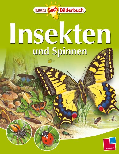 Imagen de archivo de Insekten und Spinnen. Tessloffs SachBilderbuch a la venta por medimops