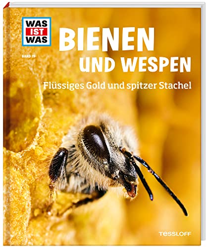 Stock image for Was ist was Bd. 019: Bienen und Wespen. Flssiges Gold und spitzer Stachel -Language: german for sale by GreatBookPrices