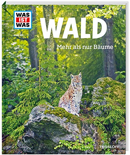 Beispielbild fr Was ist was Bd. 134: Wald. Mehr als nur Bume zum Verkauf von medimops