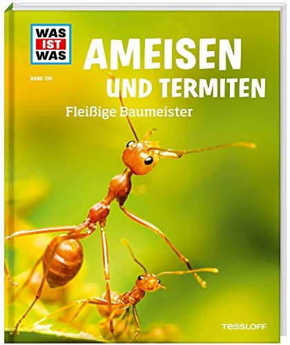 Beispielbild fr Was ist was Bd. 136: Ameisen und Termiten. Fleiige Baumeister zum Verkauf von medimops