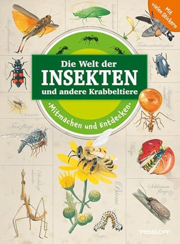 Stock image for Mitmachen und Entdecken: Insekten und andere Krabbeltiere (Welt des Wissens) for sale by medimops