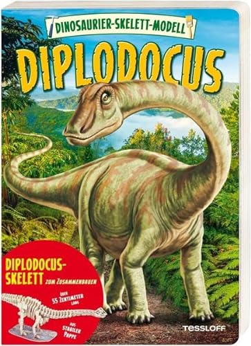 Stock image for Dino Modell. Diplodocus zum Basteln fr Kinder: Fr Fossilienjger ab 6 Jahren for sale by medimops