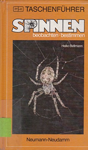 Spinnen beobachten - bestimmen. Taschenführer. - Bellmann, Heiko