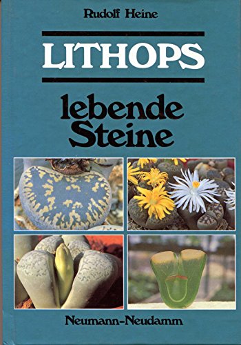 Beispielbild fr Lithops zum Verkauf von medimops