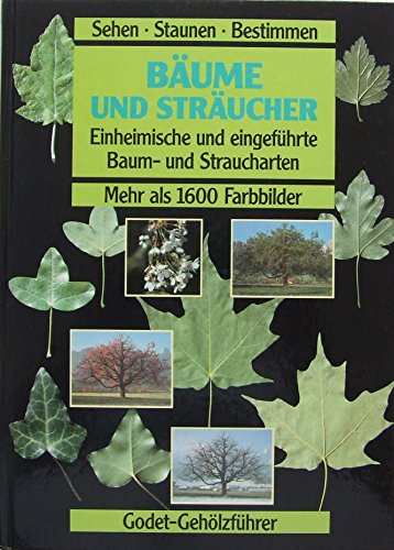 Beispielbild fr Bume und Strucher. Einheimische und eingefhrte Baum- und Straucharten zum Verkauf von medimops