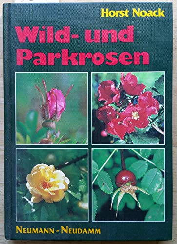 9783788805760: Wild- und Parkrosen - Noack, Horst