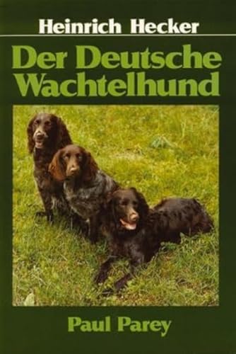 Beispielbild fr Der Deutsche Wachtelhund: Rassemerkmale, Haltung, Zucht, Fhrung und Prfung zum Verkauf von medimops