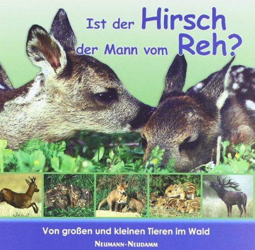 Beispielbild fr Ist der Hirsch der Mann vom Reh?: Von groen und kleinen Tieren im Wald zum Verkauf von Ammareal