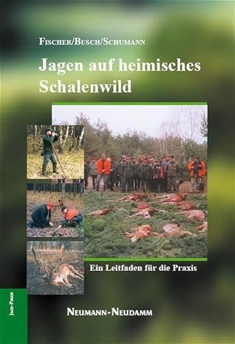 Stock image for Jagen auf heimisches Schalenwild: Ein Leitfaden fr die Praxis for sale by medimops
