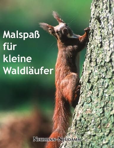 Stock image for Malspa fr kleine Waldlufer for sale by medimops