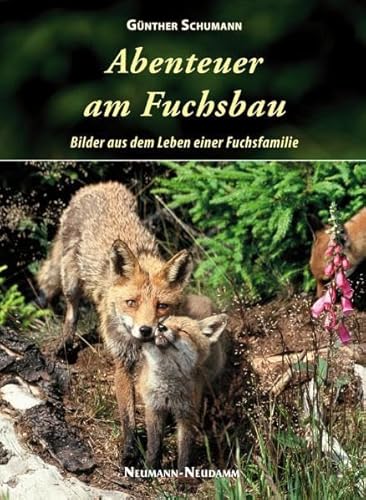 Beispielbild fr Abenteuer am Fuchsbau: Bilder aus dem Leben einer Fuchsfamilie zum Verkauf von medimops