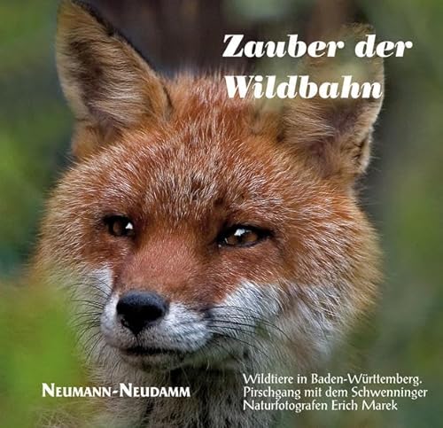 Stock image for Zauber der Wildbahn: Wildtiere in Baden-Wrttemberg for sale by medimops
