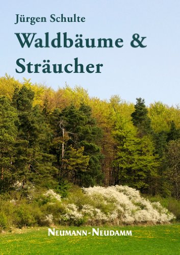 Beispielbild fr Waldbume und Strucher zum Verkauf von medimops