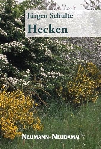 Imagen de archivo de Hecken a la venta por medimops