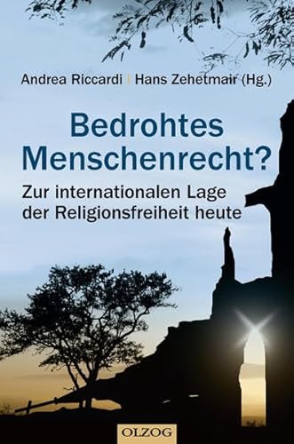 Beispielbild fr Bedrohtes Menschenrecht?: Zur internationalen Lage der Religionsfreiheit heute zum Verkauf von medimops