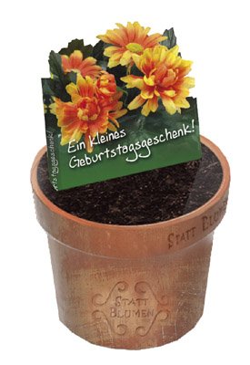 9783789392962: Ein kleines Geburtstagsgeschenk - Blumentopfbuch