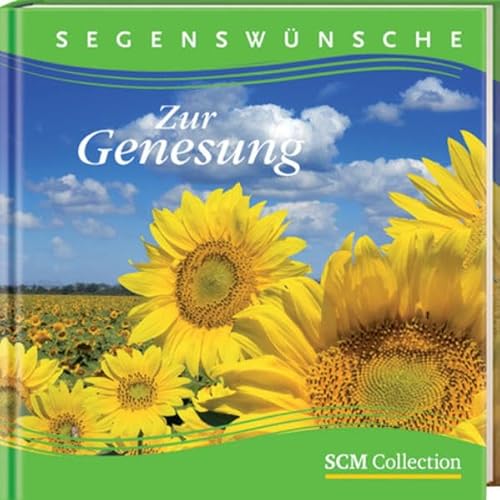 Stock image for Segenswnsche zur Genesung for sale by rebuy recommerce GmbH