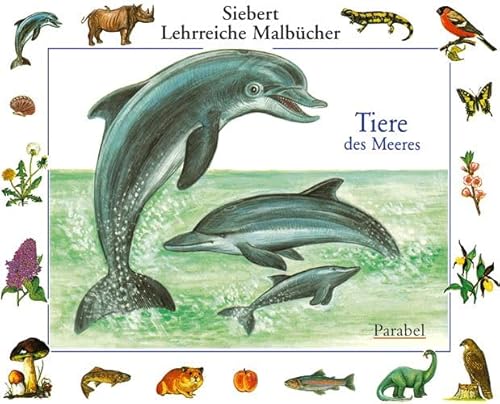 Imagen de archivo de Tiere des Meeres: Malbuch (Siebert Lehrreiche Malbcher) a la venta por medimops