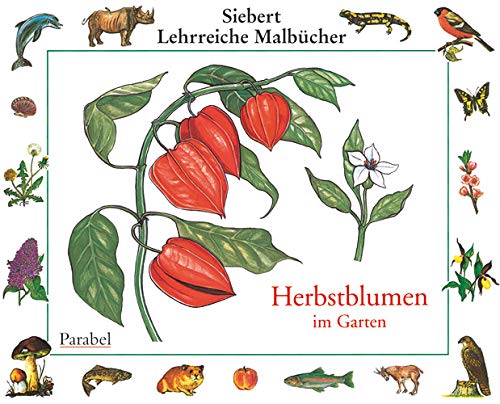 Imagen de archivo de Herbstblumen: Malbuch a la venta por medimops
