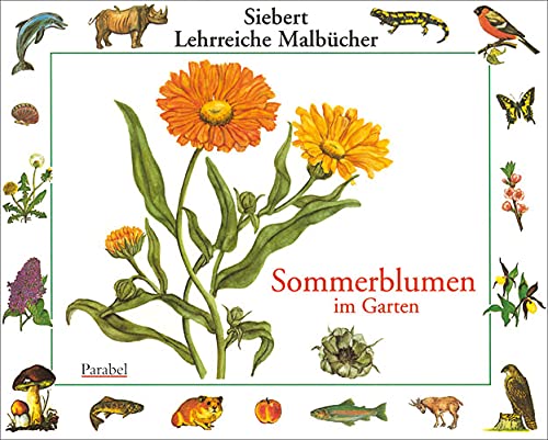 Beispielbild fr Sommerblumen im Garten: Malbuch (Siebert Lehrreiche Malbcher) zum Verkauf von medimops