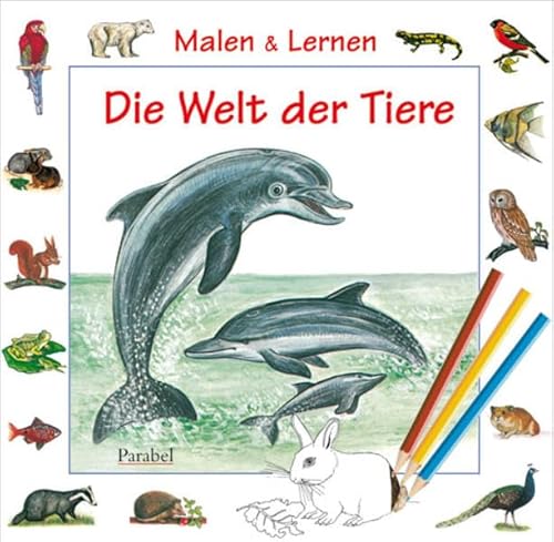 Beispielbild fr Malen & Lernen: Die Welt der Tiere zum Verkauf von medimops