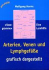 Imagen de archivo de Arterien, Venen und Lymphgefe grafisch dargestellt. Vasogramme - eine Lernhilfe a la venta por medimops