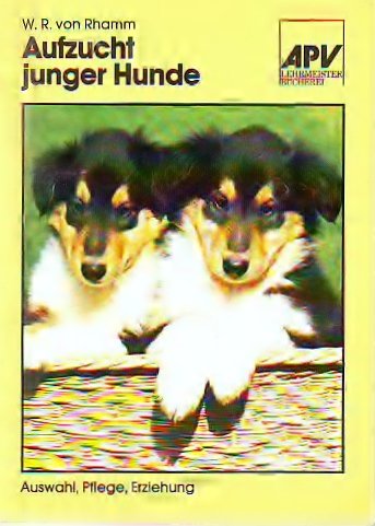 Aufzucht junger Hunde