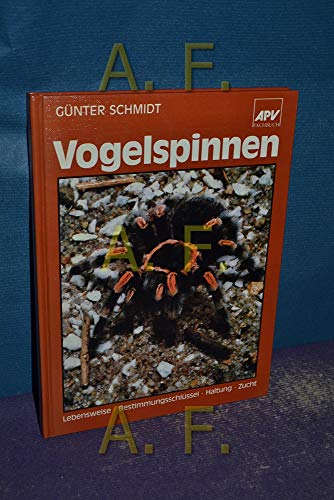 Beispielbild fr Vogelspinnen zum Verkauf von medimops