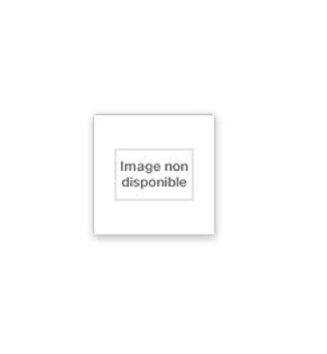 9783791308036: Niki De Saint Phalle: Bilder - Figuren - Phantastische Garten