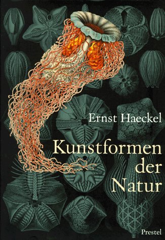 Stock image for Ernst Haeckel - Kunstformen der Natur for sale by medimops