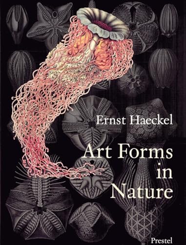 Beispielbild fr Art Forms in Nature: The Prints of Ernst Haeckel zum Verkauf von Dream Books Co.