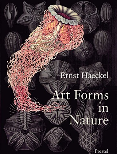 9783791319902: Art Forms in Nature: the prints of Ernst Haeckel