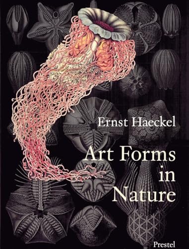 Ernst Haeckel - Art Forms in Nature: The Prints of Ernst Haeckel